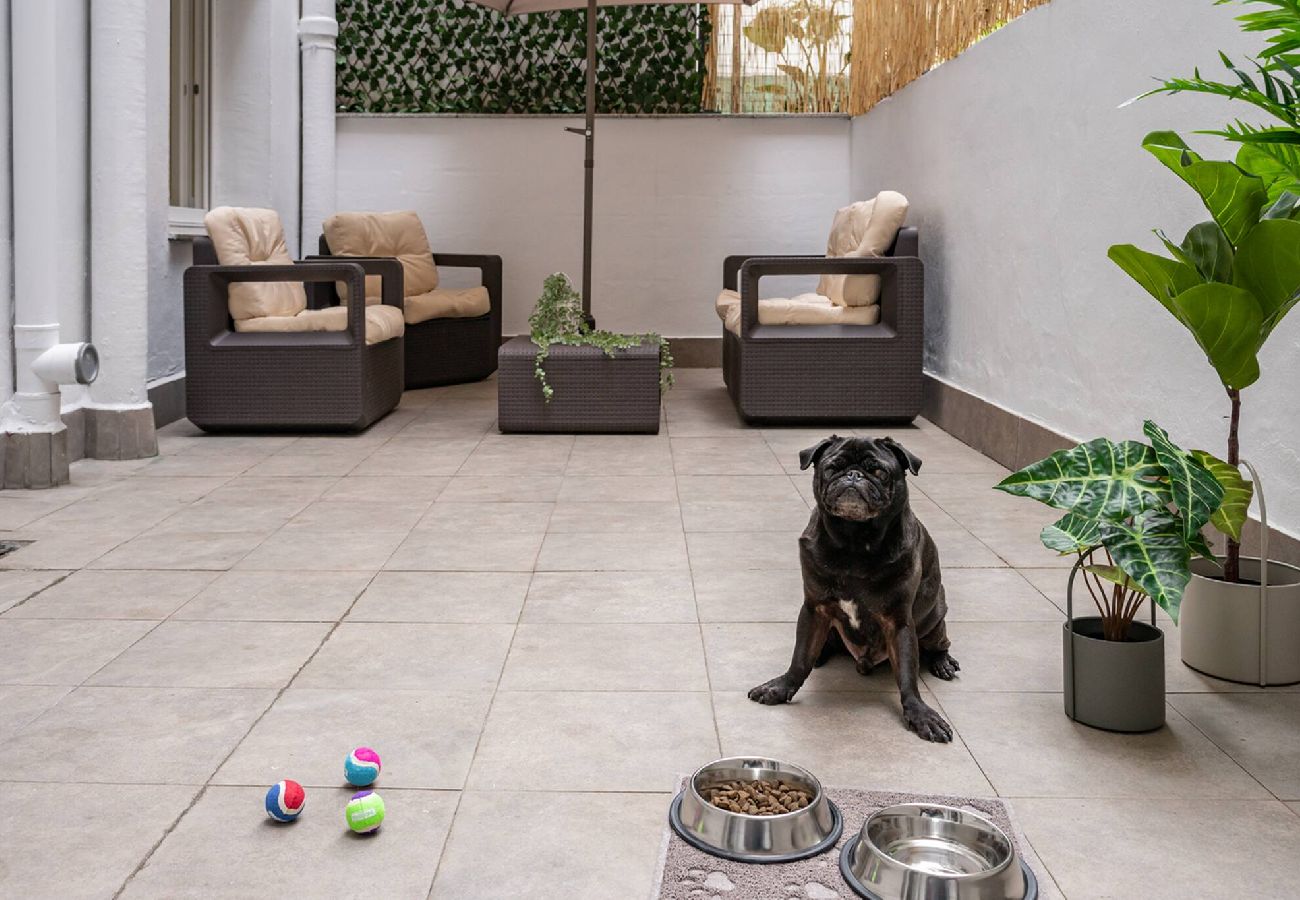 Apartamento en Gijón - El Patio de Schulz