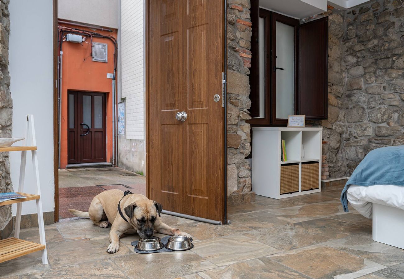 Estudio en Gijón - Loft Cimadevilla Vicaria