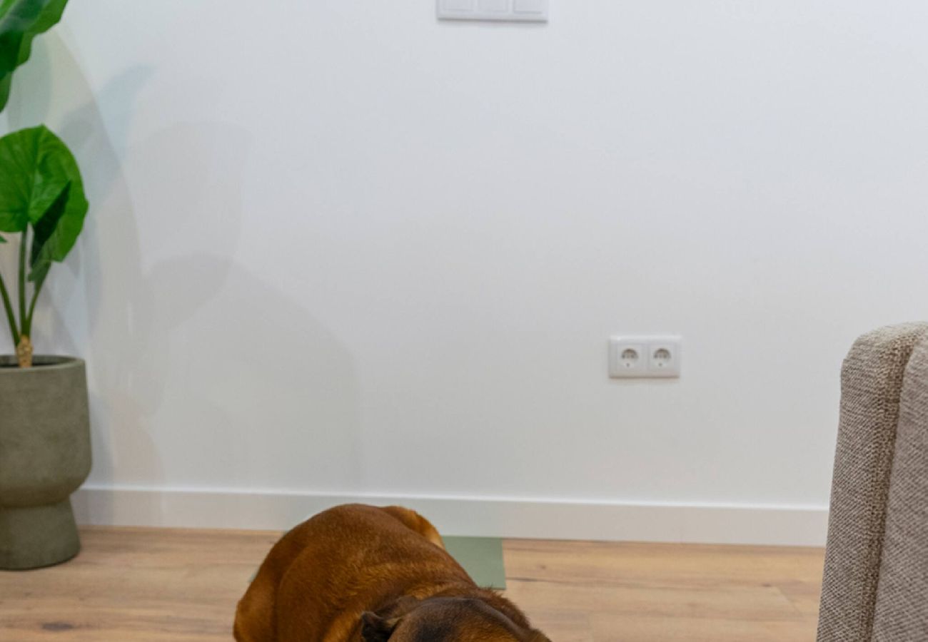 Apartamento en Gijón - Matisse, totalmente reformado y modernista