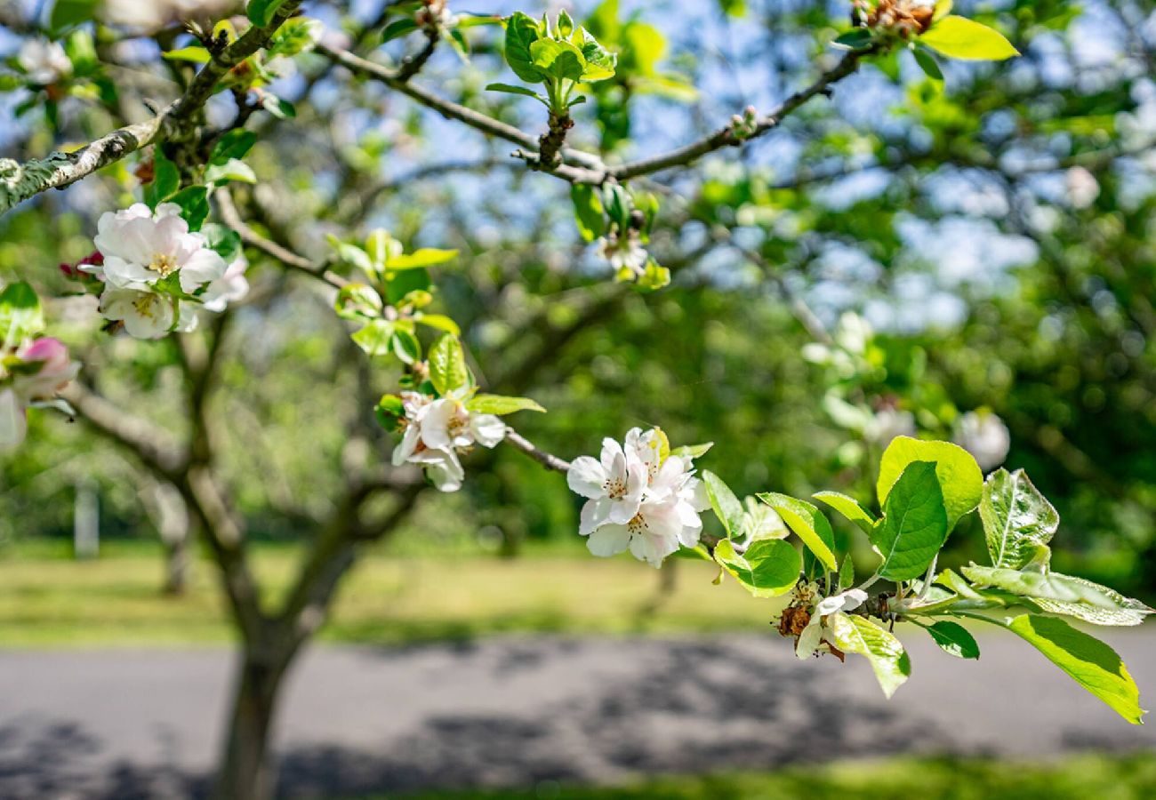 Casa en Villaviciosa - FIGARES